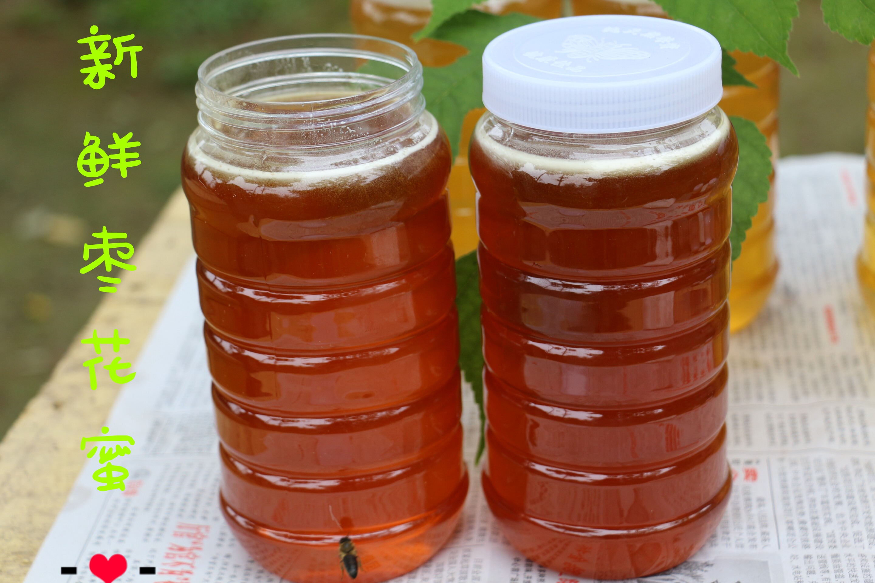 新枣花蜜蜂蜜农家自产纯天然2斤装纯天然不添加粘稠枣花蜜