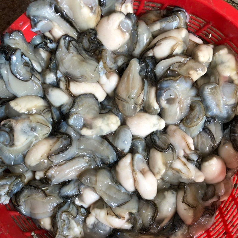 生蚝肉鲜活现剥去去壳牡蛎新鲜小蚝肉蚝仔煎生蚝