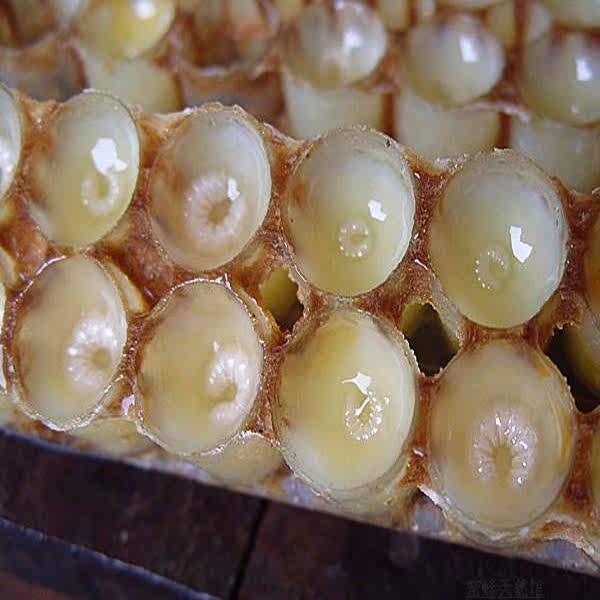 2020年新鲜蜂王浆深山野生百花蜂皇浆纯天然正品蜂王胎500g包邮
