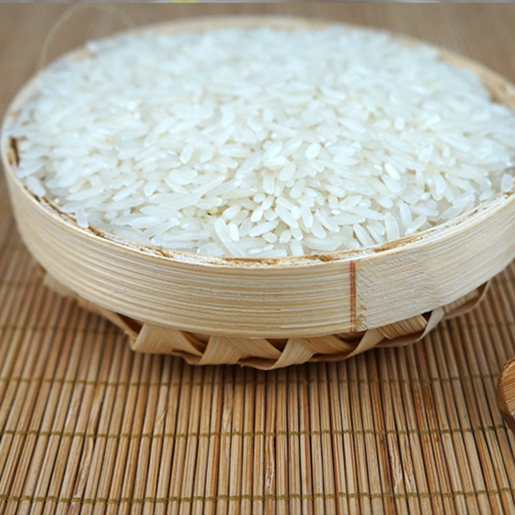 金熊5斤大米直销厂家真空礼品新米新马油当季大米