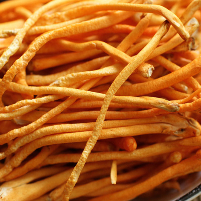 【林庄园】新鲜虫草花500g 蛹虫草新鲜时鲜蔬菜满任5件顺丰包邮