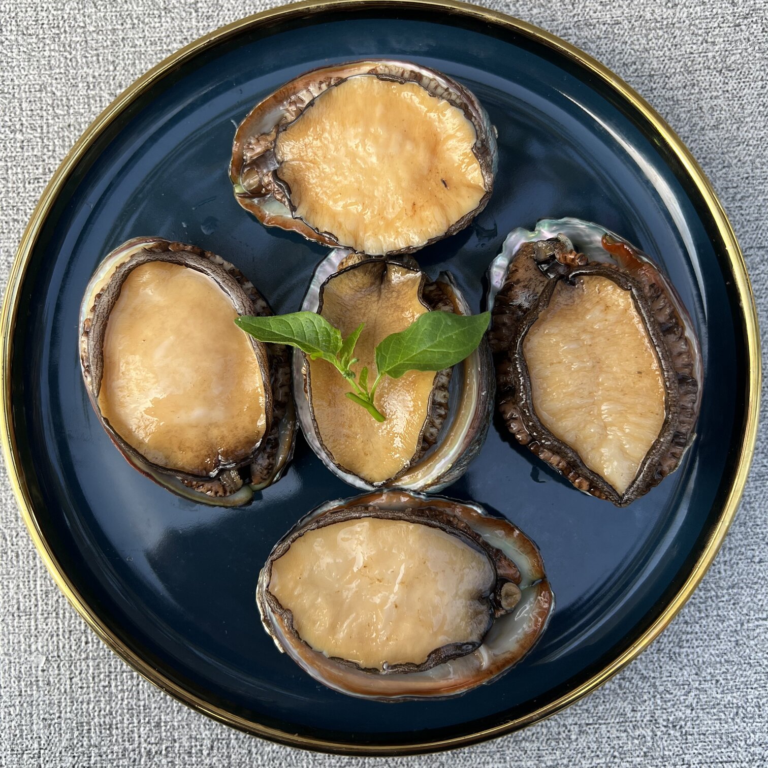 鲍鱼东海海大鲜活特大冷冻活冻新鲜8头一斤鲍鱼