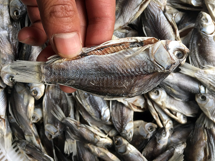 淮安特产自制风干小干鱼鲫鱼干渔家自晒腊鱼咸鱼干淡水小鱼干干货