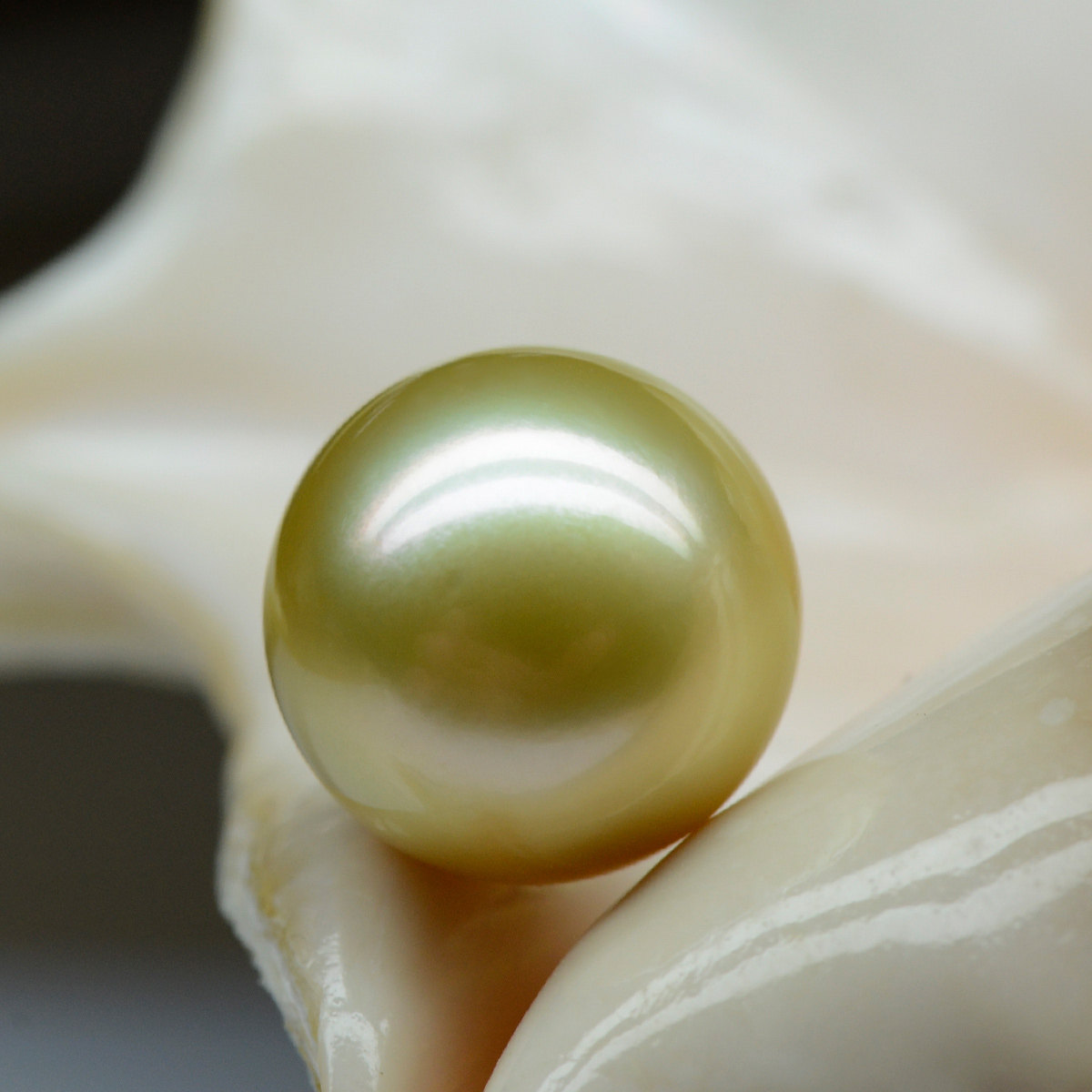 米润 南洋金色珍珠裸珠 13-14mm正圆 可定制吊坠戒指需13个工作日