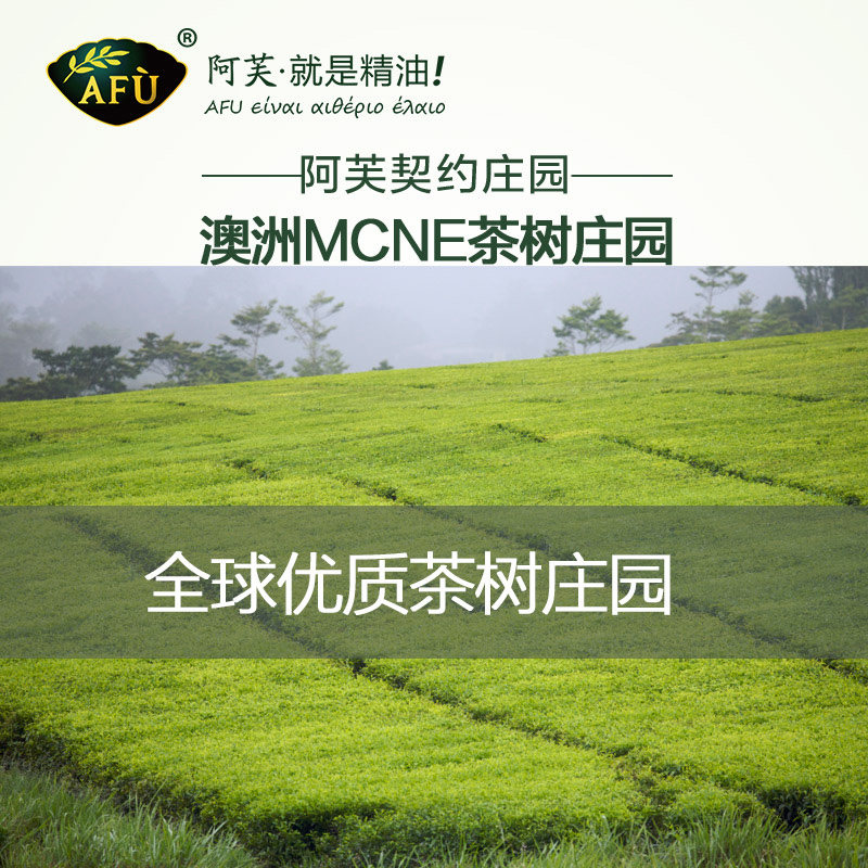 阿芙茶树精油澳洲茶树精油面部痘痘祛痘植物精油单方脸部控油正品