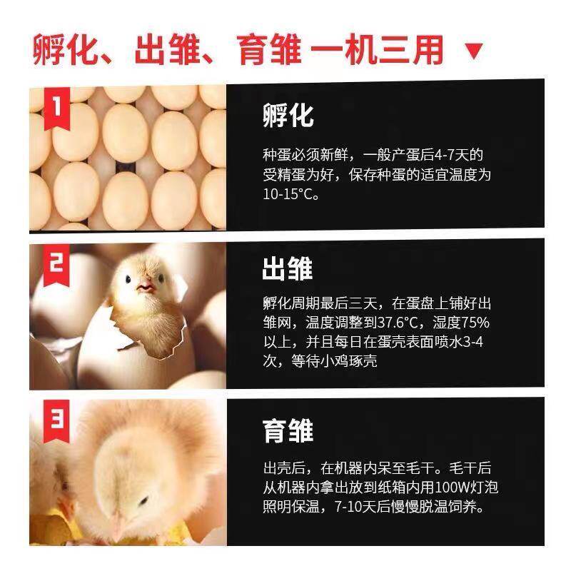 孵化器全自动智能家用型中小型鸡鸭鸽子鹌鹑孵化孵化机电热工具