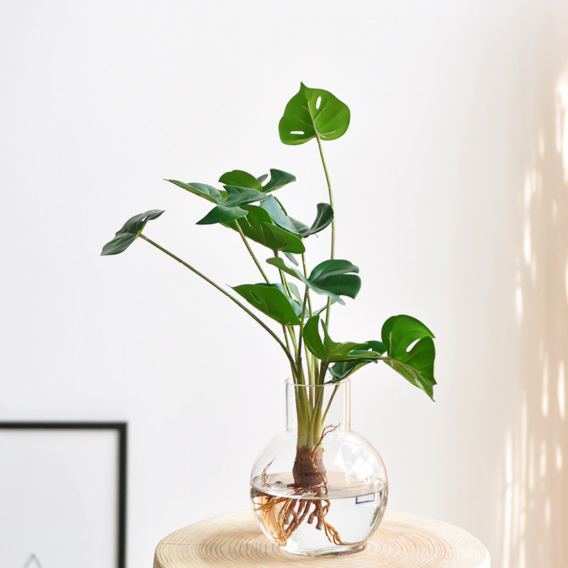 九思仿真水培植物桌摆透明玻璃瓶绿植花艺客厅仿真植物盆景