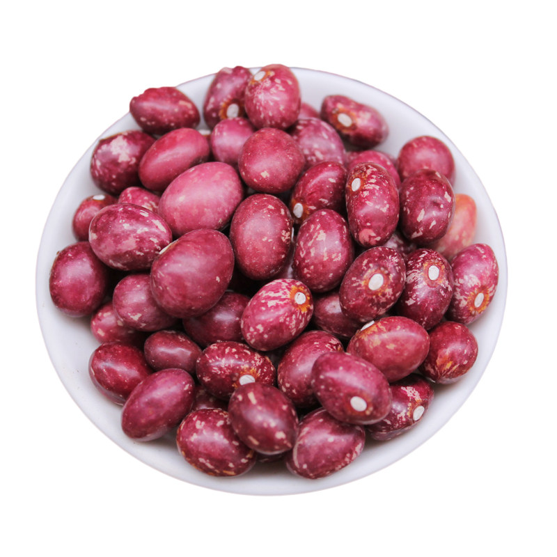 新货云南金丝农家自种红花孔雀芙蓉豆雀蛋豆其它