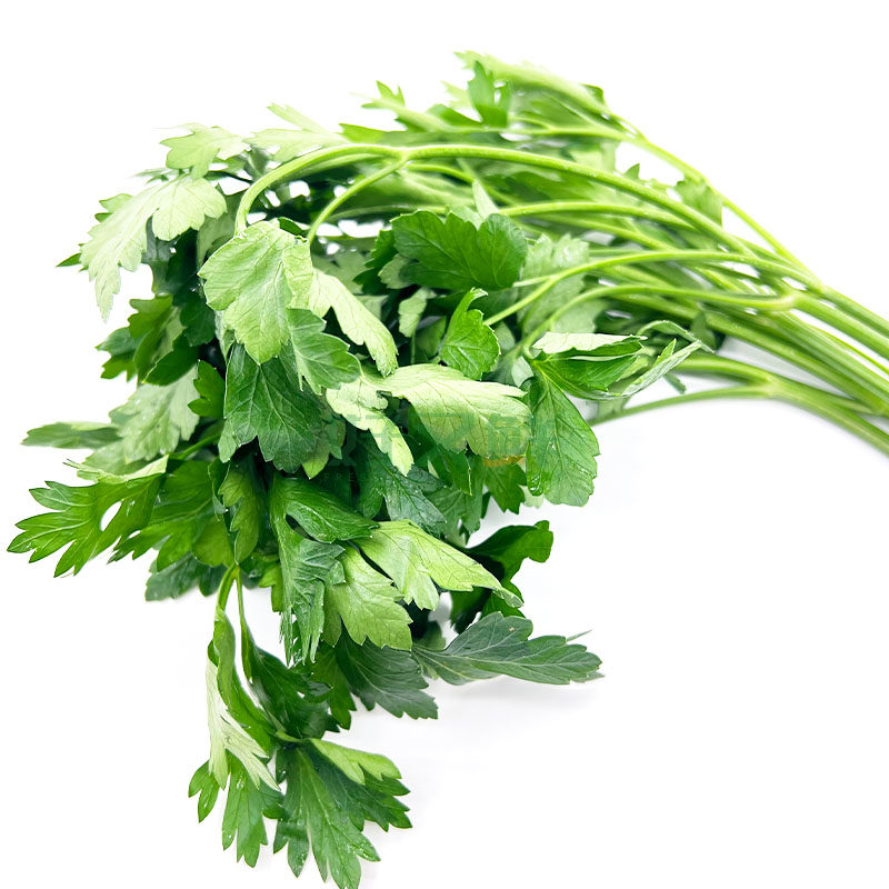 新鲜蔬菜意大利香芹欧芹香料细小小叶番茜点缀其它