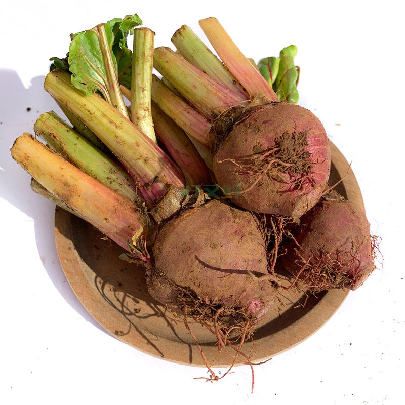 条纹萝卜迷你小菜新鲜螺旋纹菜头250g西餐摆盘其它