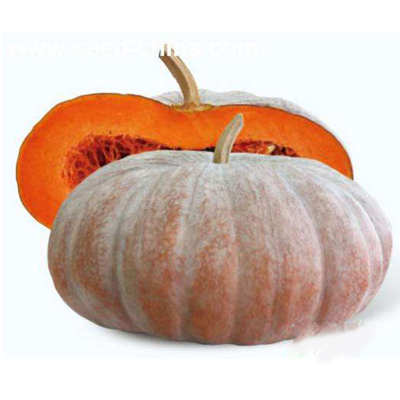 种子圣凯华农磨盘盘大南瓜特甜超面蔬菜瓜大家庭园艺种子