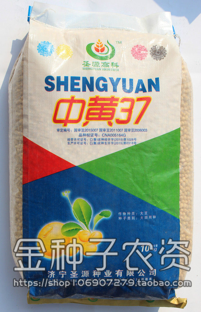 种子大豆农户大面积种植黄豆中黄高产亩产千斤家庭园艺种子