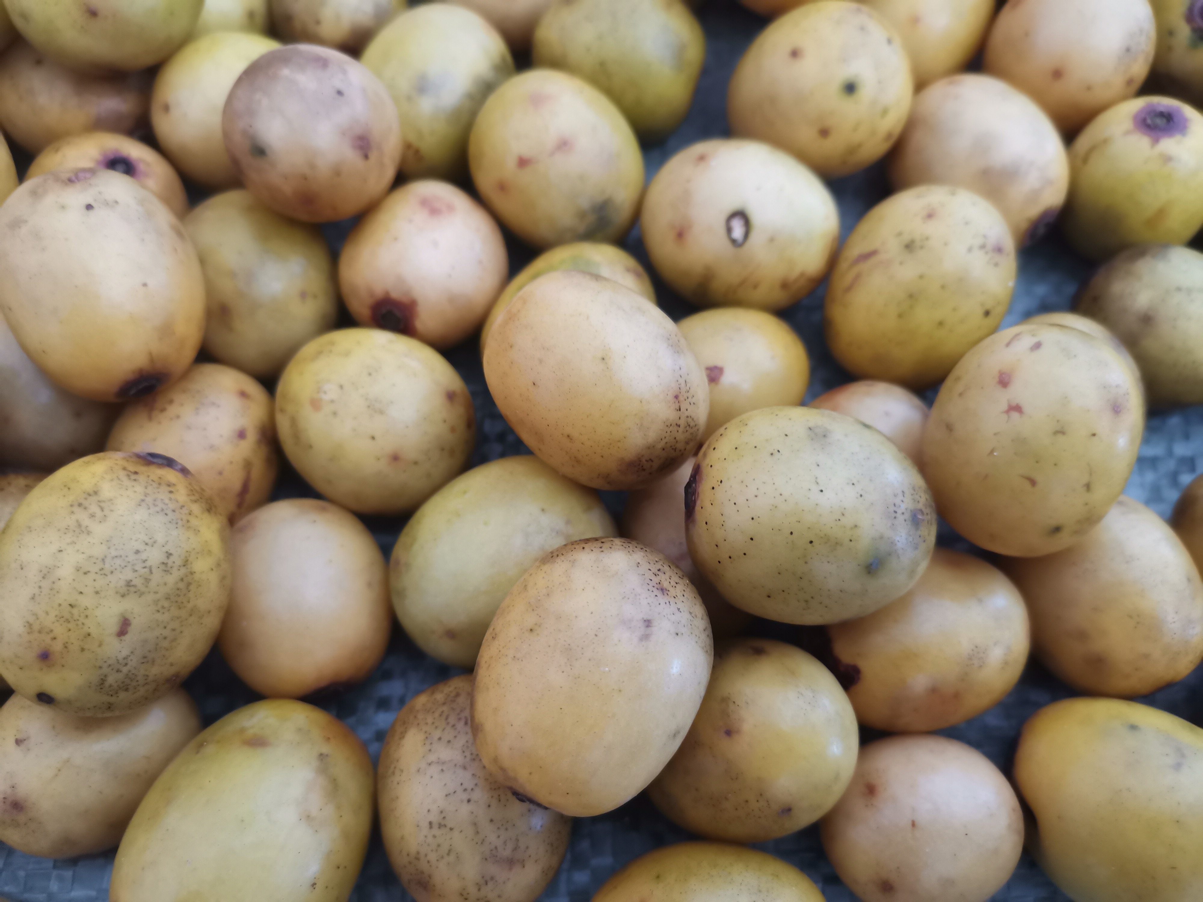 酸枣五眼江西野生鼻涕果南枣子1斤枣