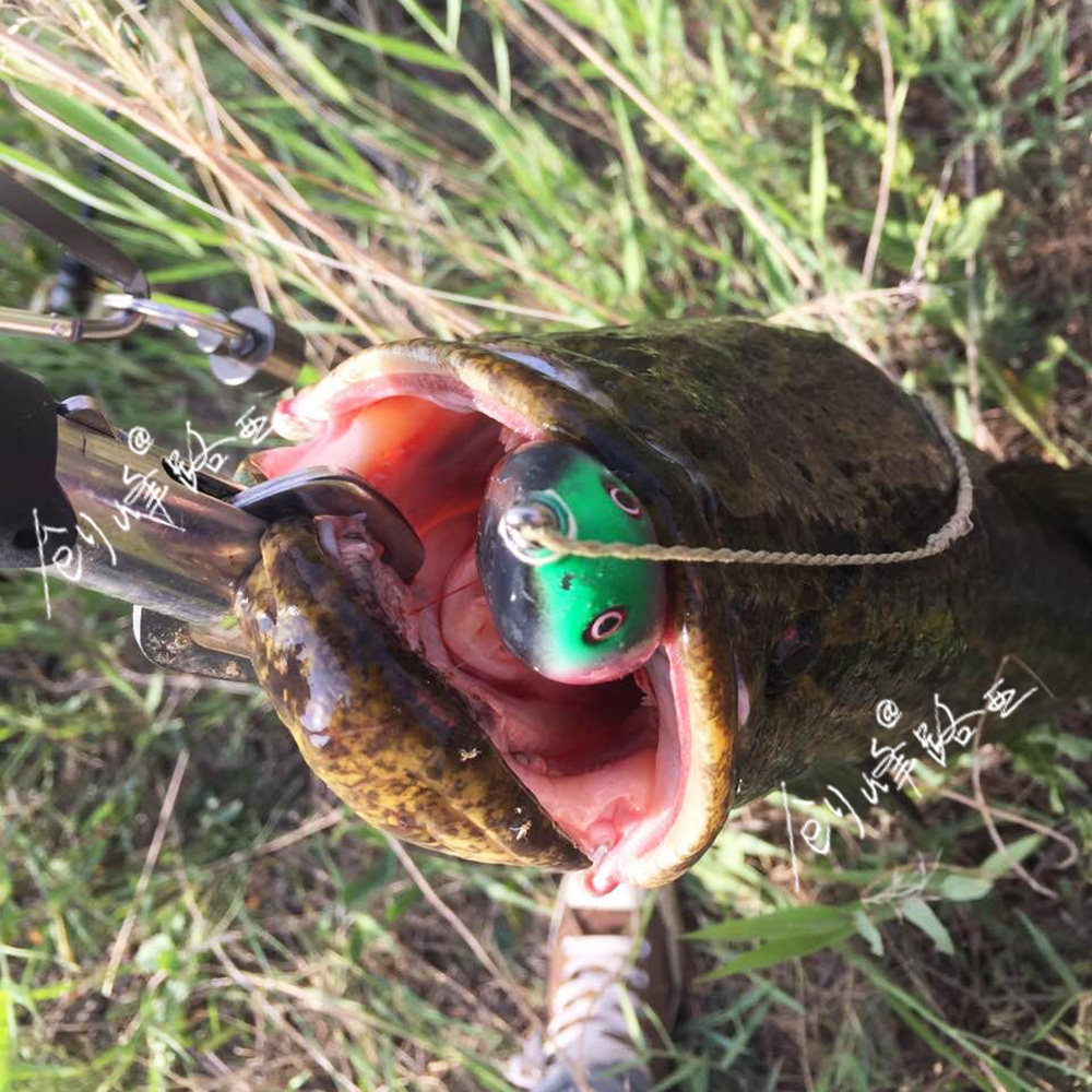 创峰路亚饵远投雷蛙打黑雷强蛙黑鱼专杀无倒刺未改装淡水假鱼饵