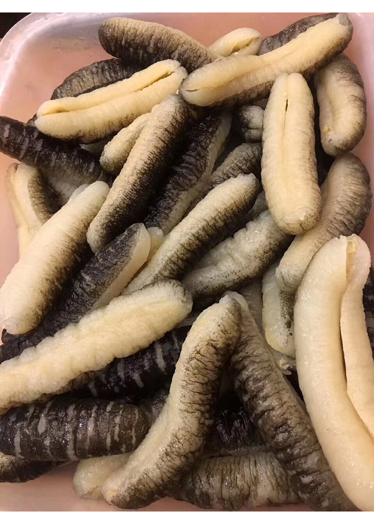 海参澳洲洲明38头明秃参沙秃参光秃参猪婆参干品