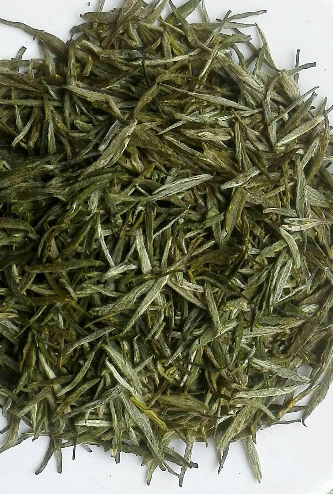 蕲春驹龙园茶叶250g礼盒银芽李时珍故里特产天然其它绿茶