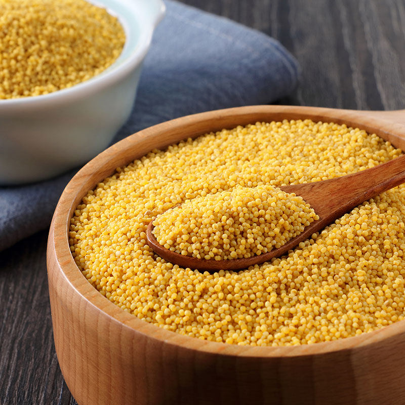 2袋月子米月五谷杂粮食用粥吃百亿1kg小米稻田小米