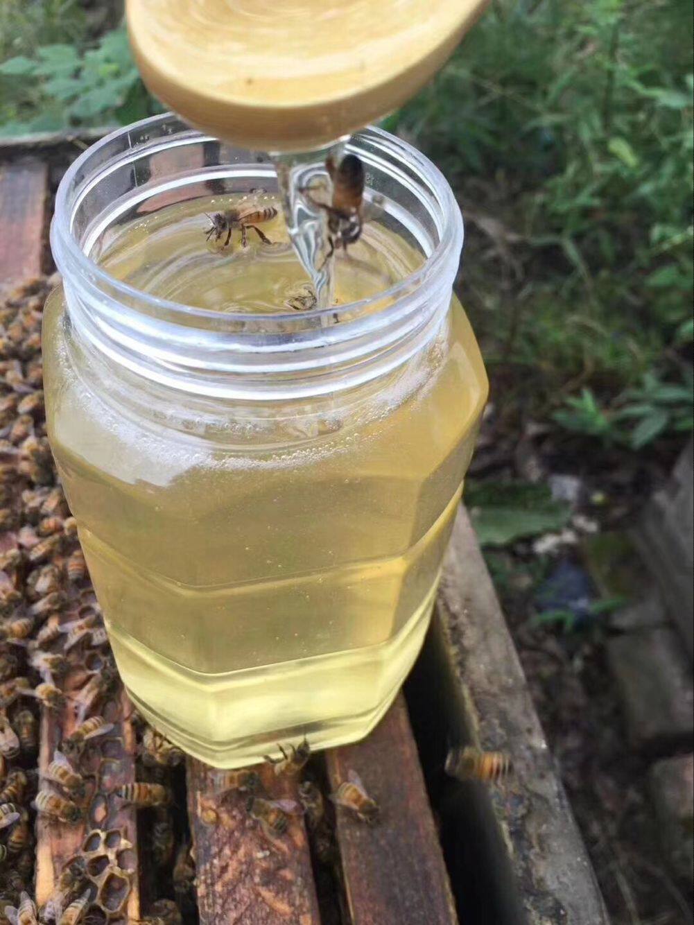 陕西延安新鲜洋槐蜜天然蜂蜜原生态农家自产纯蜂蜜槐花蜜