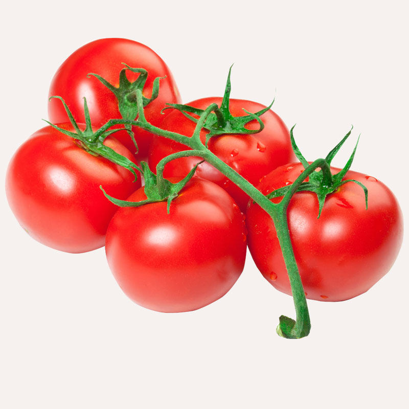 番茄串红牛排专用1斤深圳同城配送番茄