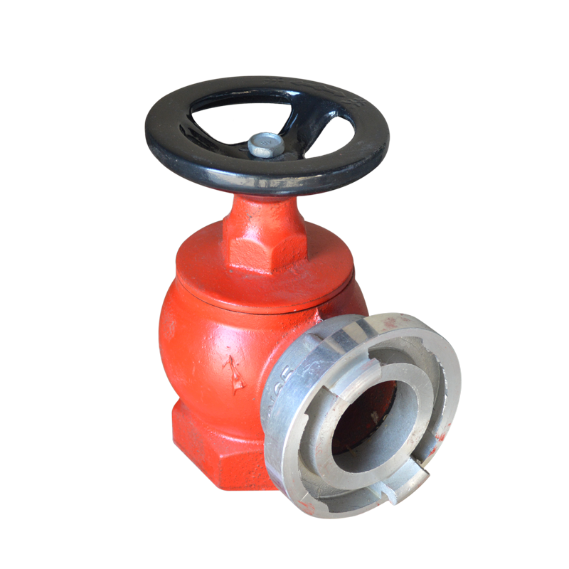 室内消防消火栓消防栓防水dn65dn50灭火器