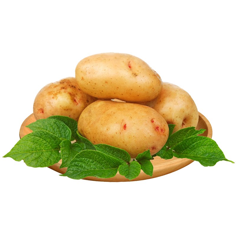 新鲜现挖贵州威宁土豆高山大洋芋农家自种五斤毕节黄皮黄心马铃薯