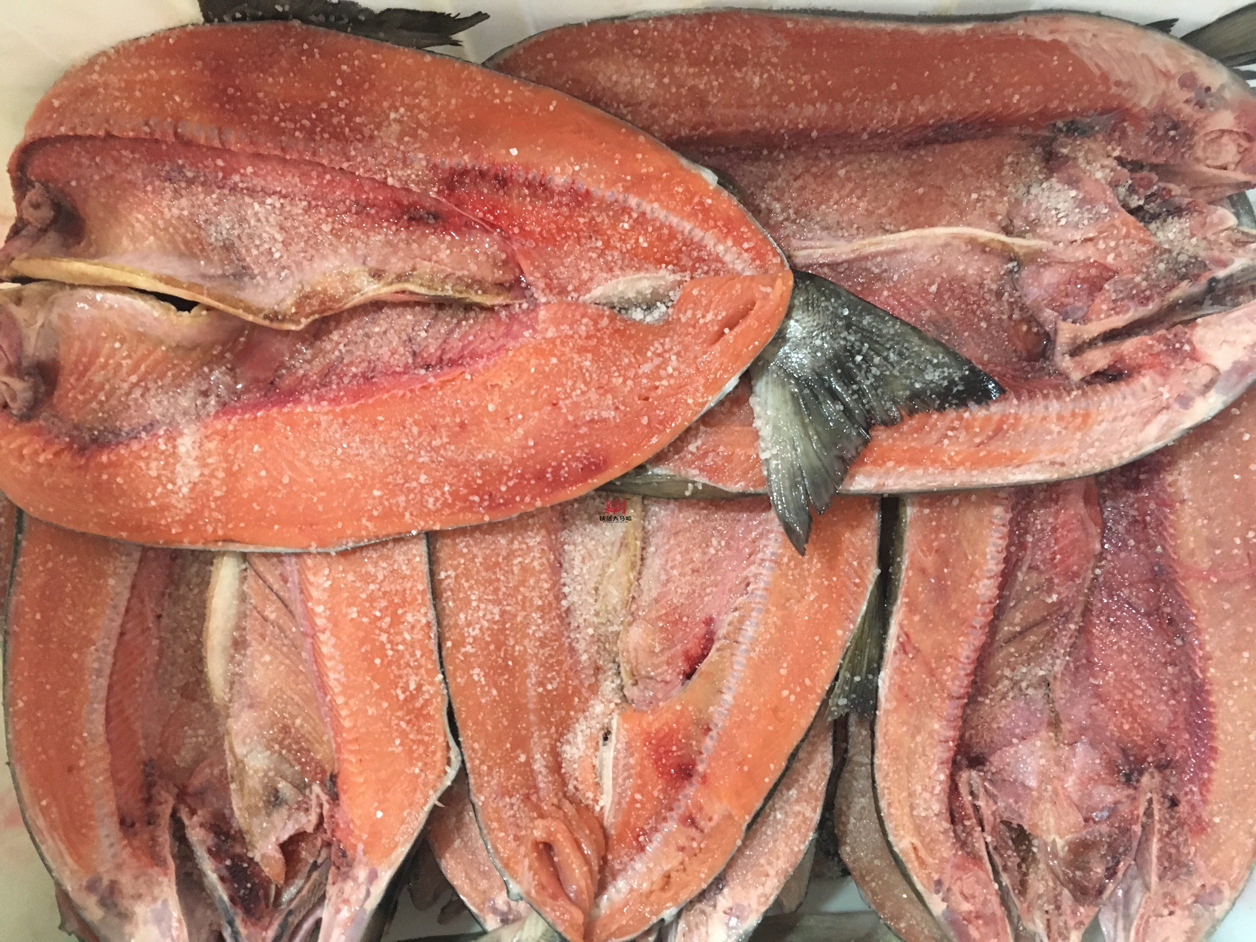 黑龙江抚远特产大马哈鱼木桶腌制新鲜晾晒水腌整条淡水鱼类