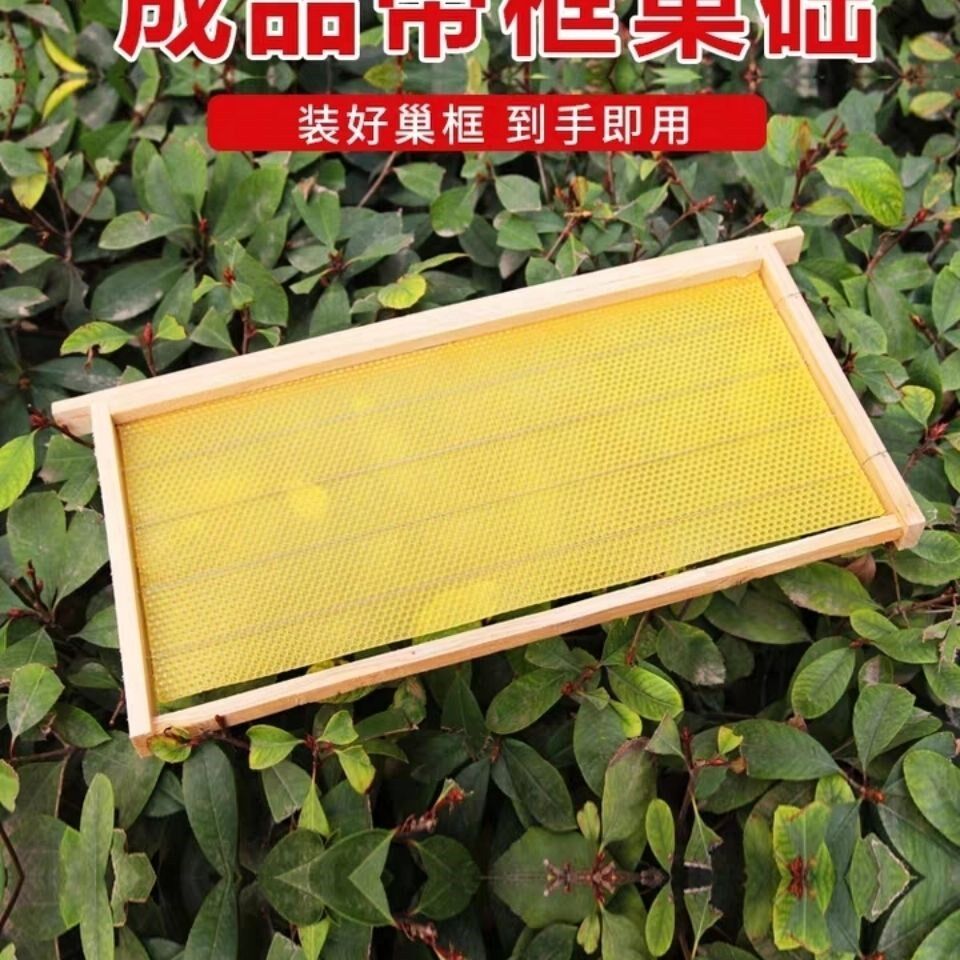 巢框中蜂巢础成品巢框蜂箱巢框铁丝意蜂巢脾蜂蜡蜜蜂巢础带框蜂具