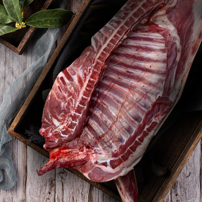 宁夏羔羊新疆羊排羊腿全羊盐池生鲜新鲜只羊生羊肉