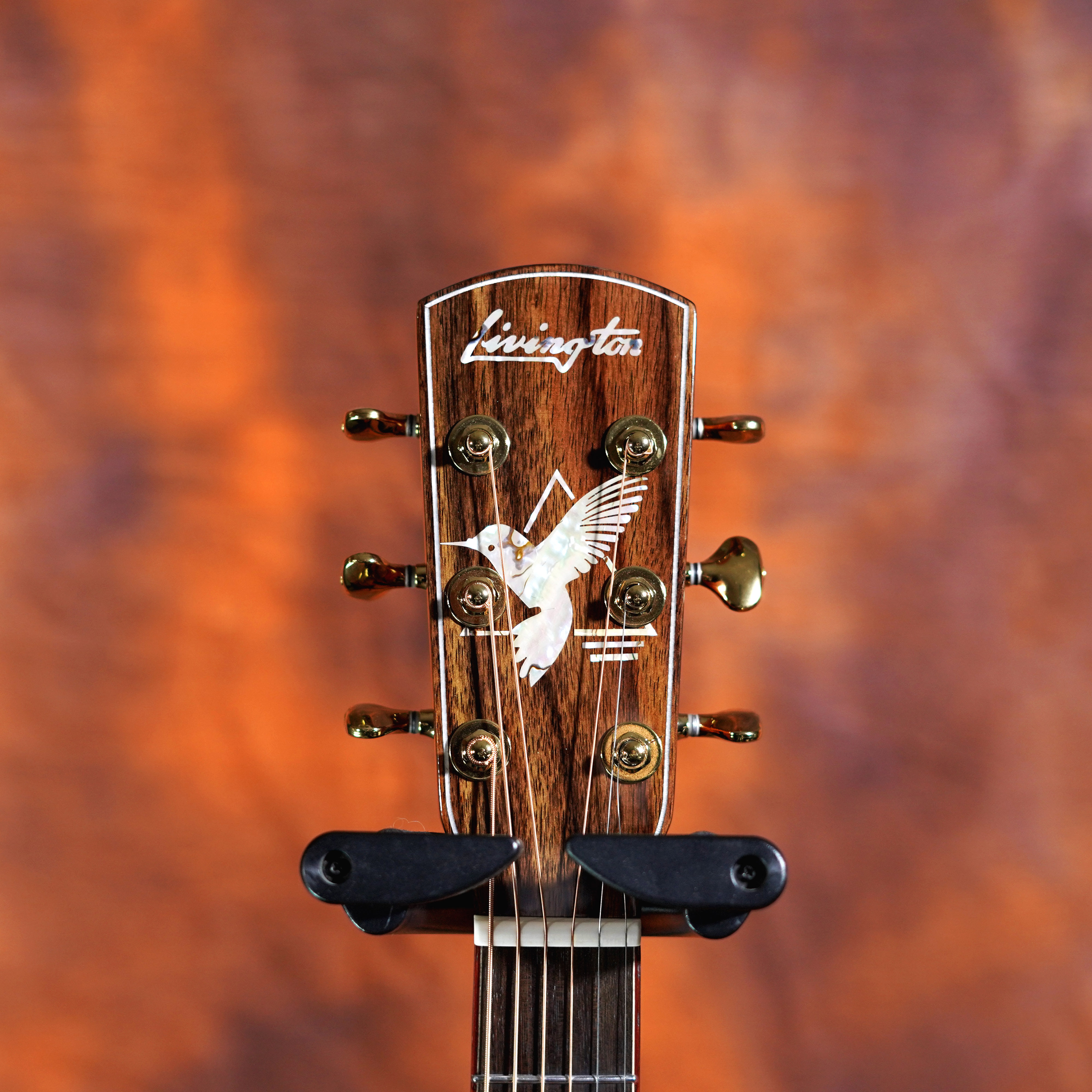 livingston利威斯顿蜂鸟系列入门进阶全单aj260民谣吉他吉他民谣吉他