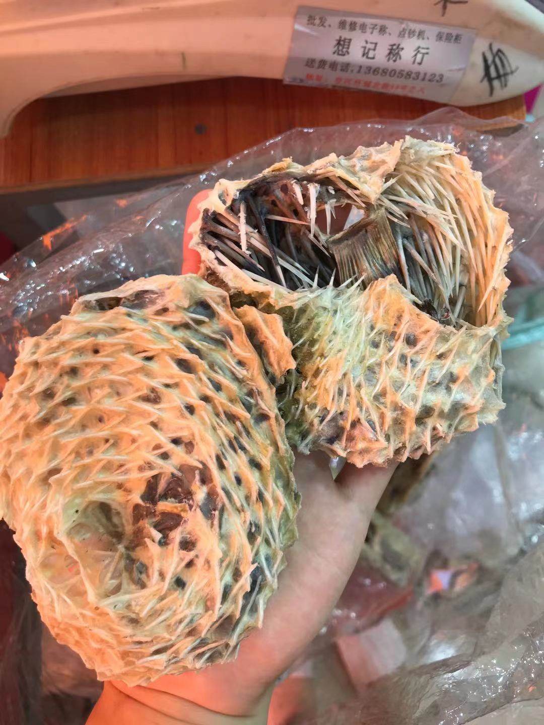 刺龟野生中号海胆皮刺豚皮海刺猬干货煲汤阳江其它