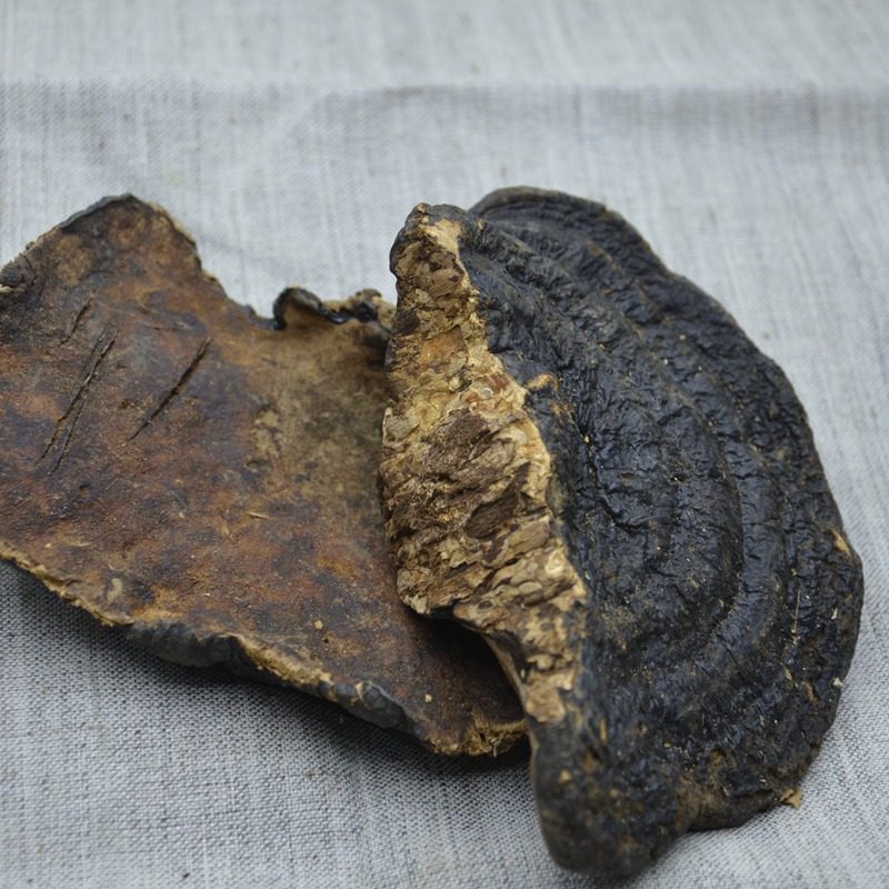 野生灵芝正宗薄树芝薄香芝林芝干品250克切片整枝灵芝