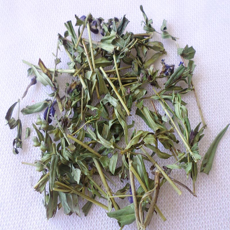 黄芩东北大兴安岭野生叶茶小叶茎叶新年新年新货花草茶黄芩