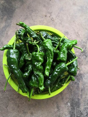 辣椒薄皮高山农家自种新鲜皱皮青椒香辣包邮辣椒