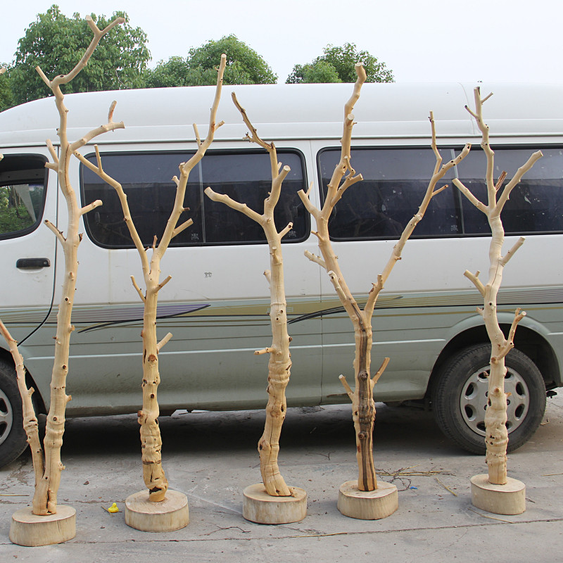 鹦鹉活鸟架落地衣架树枯树枝猫爬架造型实木装饰干花