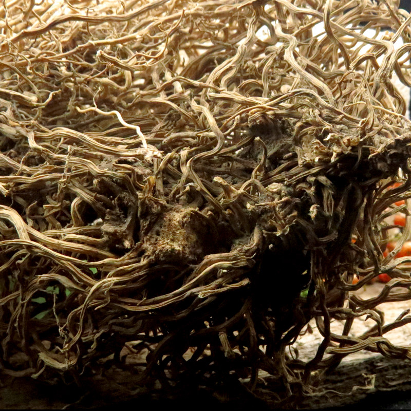 药材龙骨伸筋中草神农架野生250克包邮传统滋补品其他