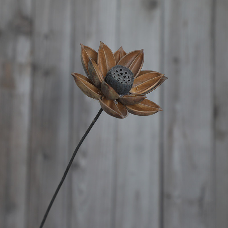 莲花果壳手工荷花莲蓬天然干花装饰花落落地仿真花