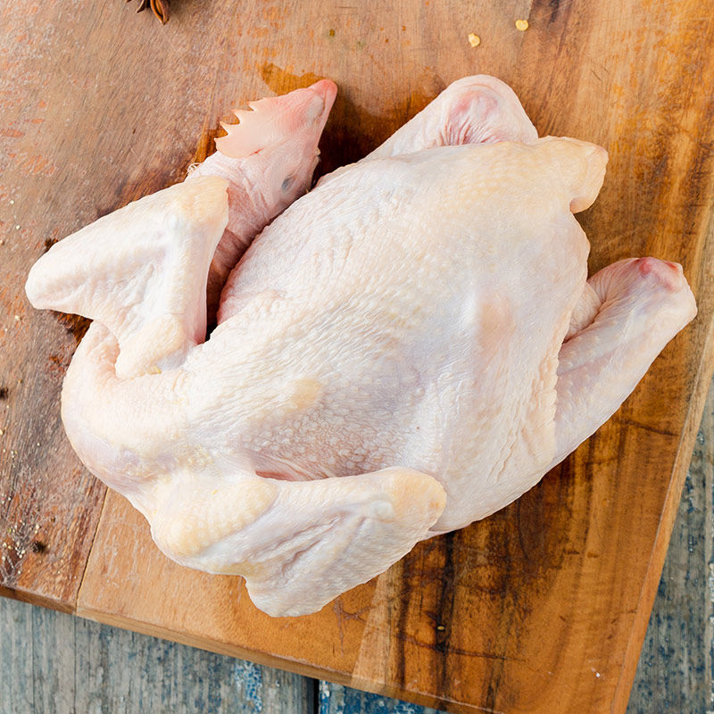 裴顿童子鸡1kg 整鸡 新鲜冷冻鸡肉 禽肉鸡肉