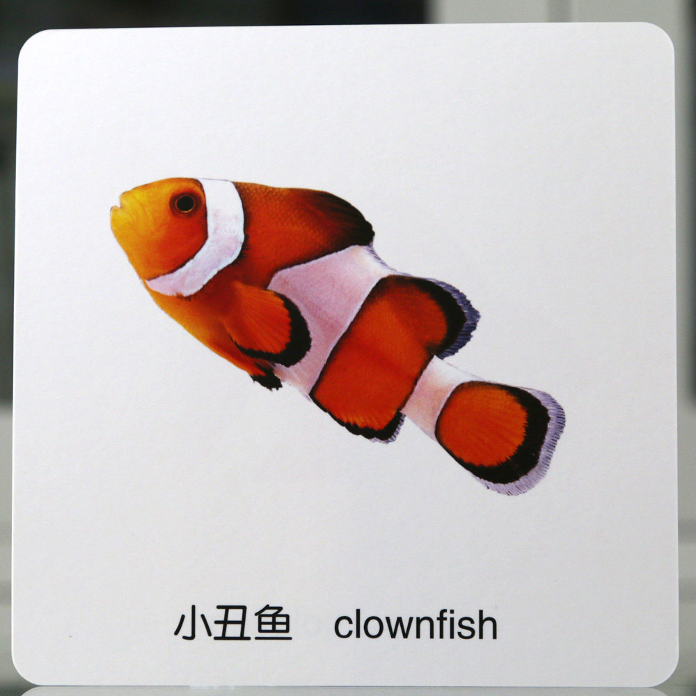 幼儿启蒙英语单词卡片小学英文单词卡儿童教具宝宝早教识字卡闪卡