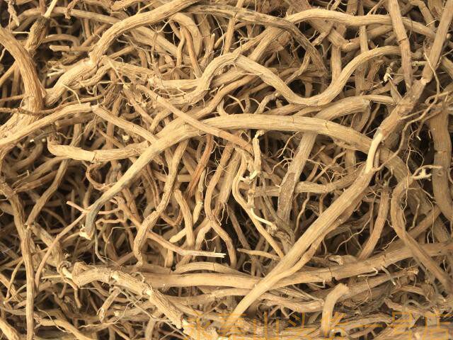 菜头肾野生新鲜干货种植温州人专用土太子参补肝肾壮筋骨风火牙疼