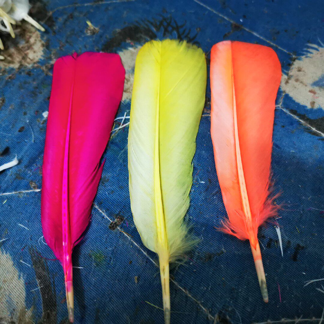 尖毛毽羽单片南派花毽白鸽毛毽子毽子毽子