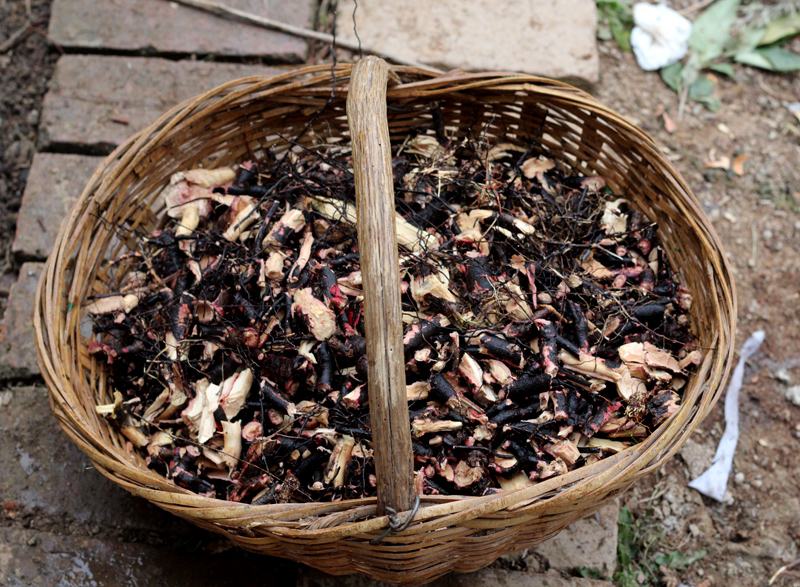 酸枣秦岭野生小山枣树树根仁根新货正品老根其他药食同源食品