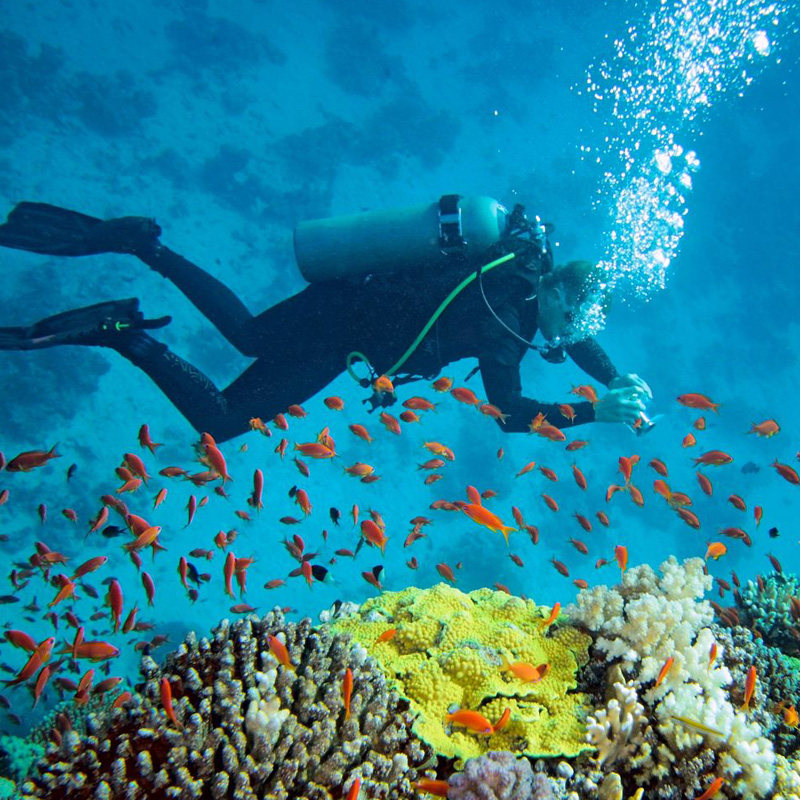 兰卡威浮潜 芭雅岛浮潜岸边潜水浮台浮深潜一日游 酒店接送