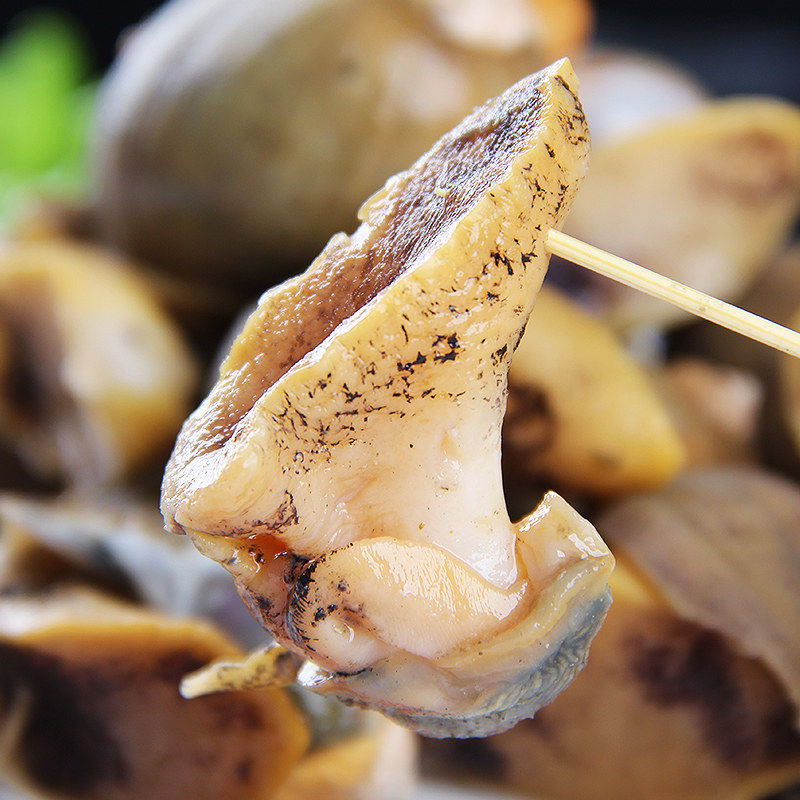 老婆脚假鲍鱼海鲜海蜗牛鲍螺鲜活速冻黄金珍珠贝类制品