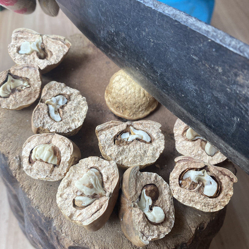 风流广西野生新鲜现摘正品天竺粒掉藤果厚鳞风流果