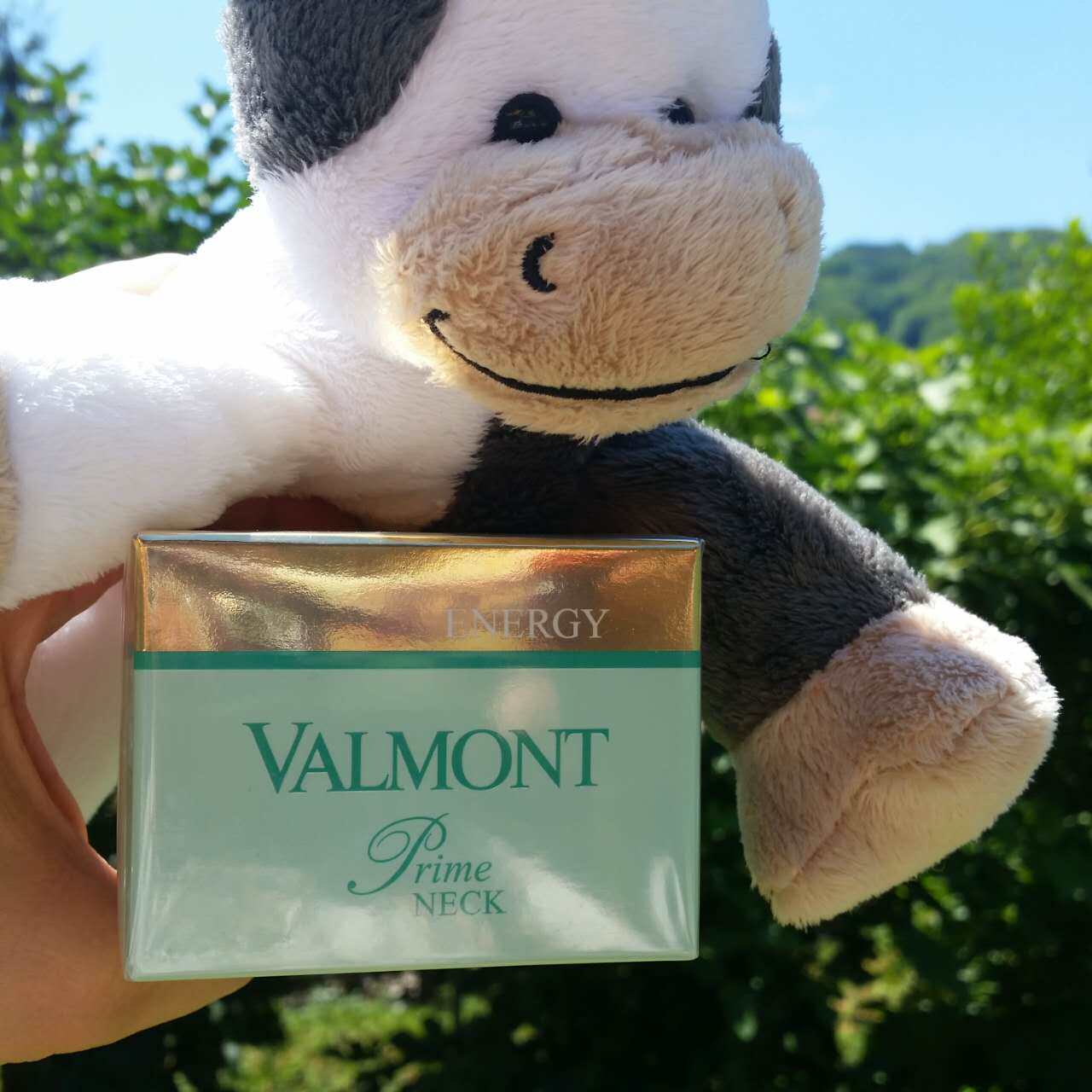 现货瑞士法尔曼valmont升效生效护颈营养颈霜紧致颈霜