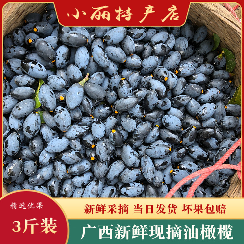 广西新鲜黑橄榄乌榄籽香油橄榄可制榄角现摘现发其它