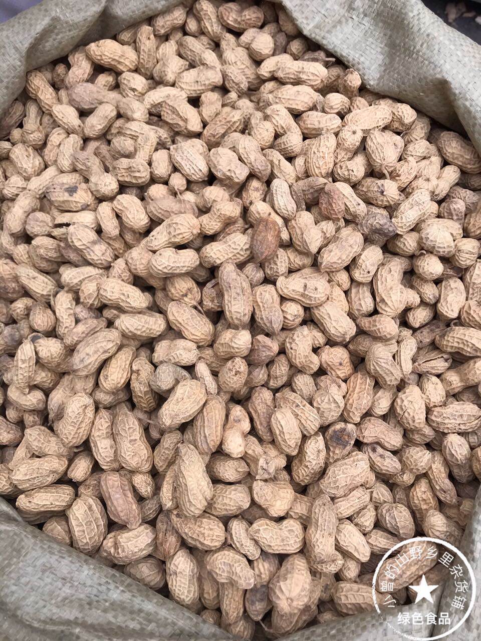 花生乐昌农家自种本地翻秋种子500g十斤包邮其它干货