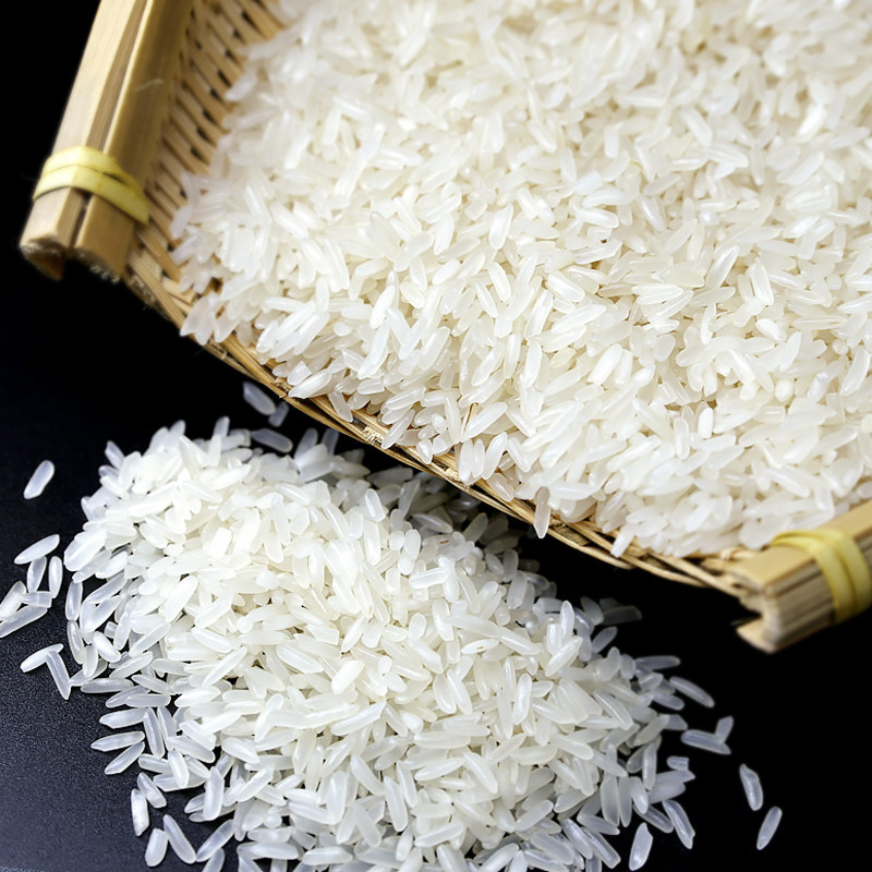 新天润怀集丝苗米5kg 广东省现代农业产业园 绿色健康 大米