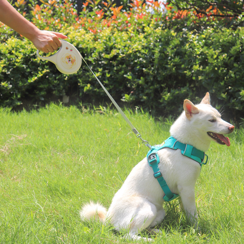 牵引devopet狗狗可伸缩宠物外出自动中小型犬柴犬遛狗牵引绳