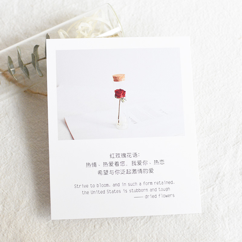 满天星康乃馨玫瑰花简约花语卡片情人节生日纪念日母亲节贺卡